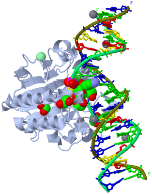 Image Biological Unit 1