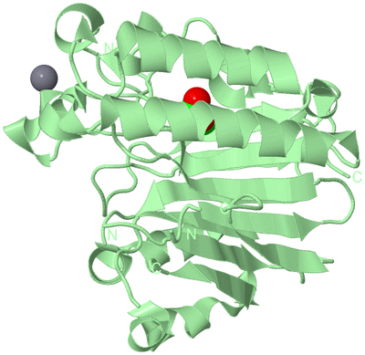 Image Biological Unit 2