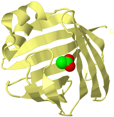 Image Biological Unit 4