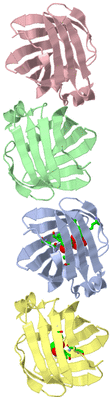 Image Asym. Unit - sites