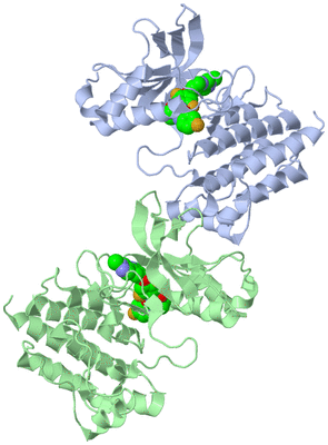 Image Asym./Biol. Unit