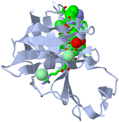 Image Biol. Unit 1 - sites