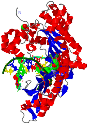 Image Asym./Biol. Unit