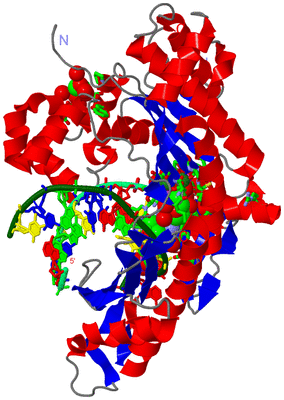 Image Asym./Biol. Unit - sites