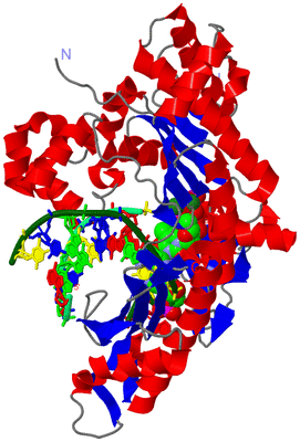 Image Asym./Biol. Unit