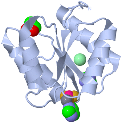 Image Biological Unit 1