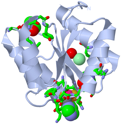 Image Biol. Unit 1 - sites