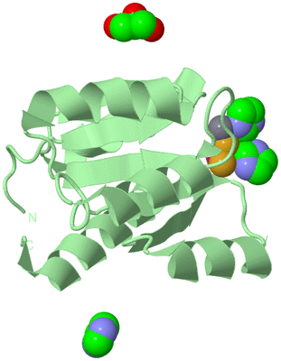 Image Biological Unit 2