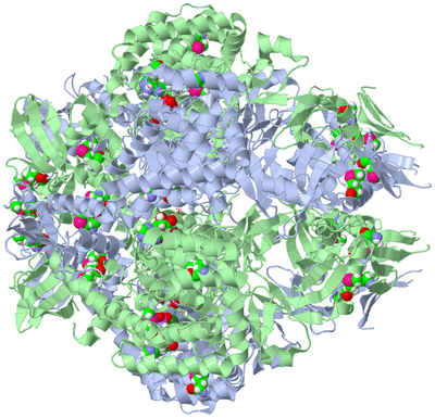 Image Biological Unit 1