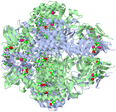 Image Biol. Unit 1 - sites