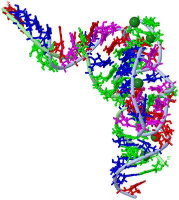 Image Asym./Biol. Unit