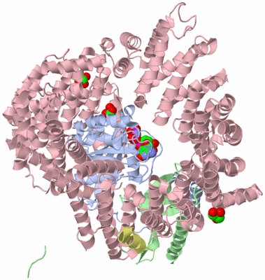 Image Asym./Biol. Unit