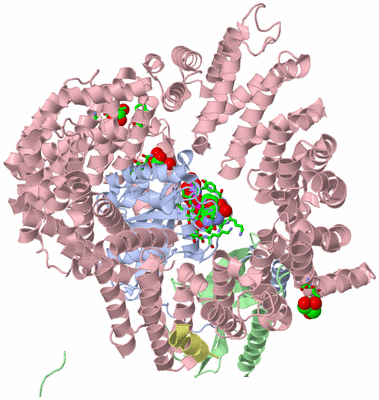 Image Asym./Biol. Unit - sites