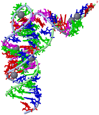 Image Asym./Biol. Unit