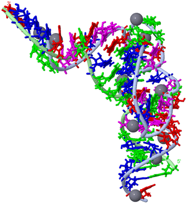 Image Asym./Biol. Unit