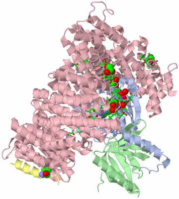 Image Asym./Biol. Unit - sites