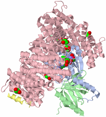 Image Asym./Biol. Unit