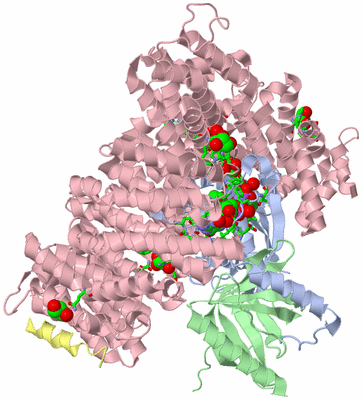 Image Asym./Biol. Unit - sites