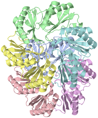 Image Asymmetric Unit
