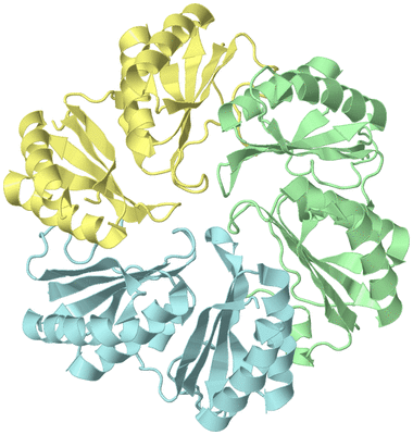 Image Biological Unit 2