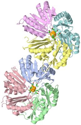 Image Asym. Unit - sites