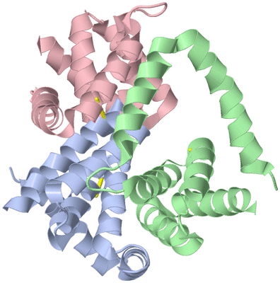 Image Asymmetric Unit