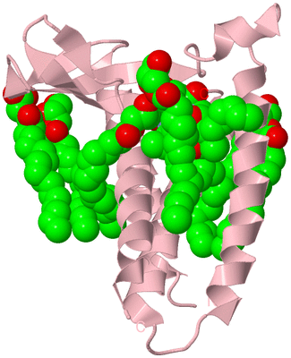 Image Biological Unit 3