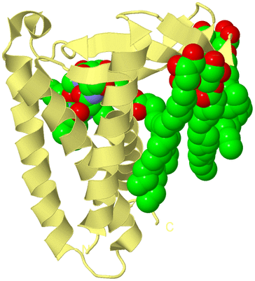 Image Biological Unit 4