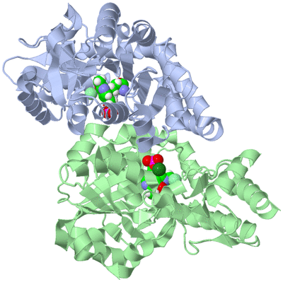 Image Biological Unit 1