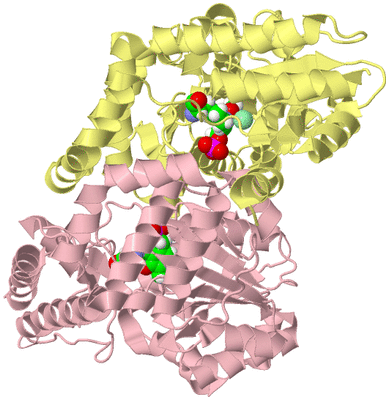 Image Biological Unit 2