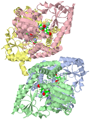 Image Biological Unit 3