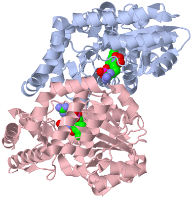 Image Biological Unit 1