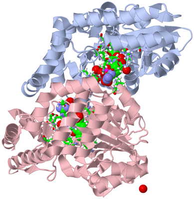 Image Biol. Unit 1 - sites