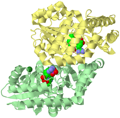 Image Biological Unit 2