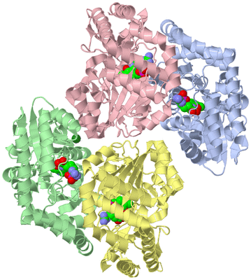 Image Biological Unit 3