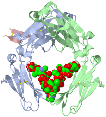 Image Asym./Biol. Unit