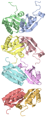 Image Asymmetric Unit