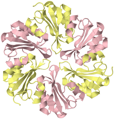 Image Biological Unit 2