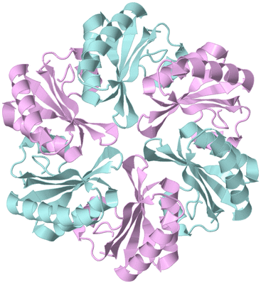 Image Biological Unit 3