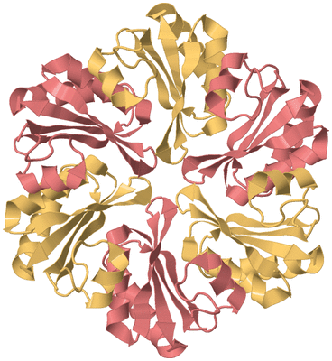 Image Biological Unit 4