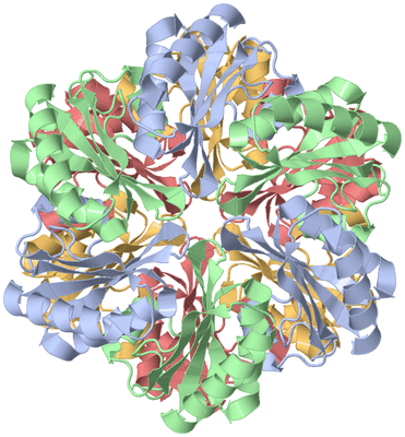 Image Biological Unit 5