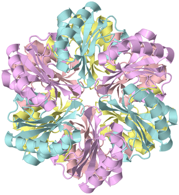 Image Biological Unit 6