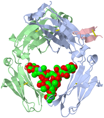 Image Biological Unit 1