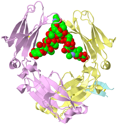 Image Biological Unit 2