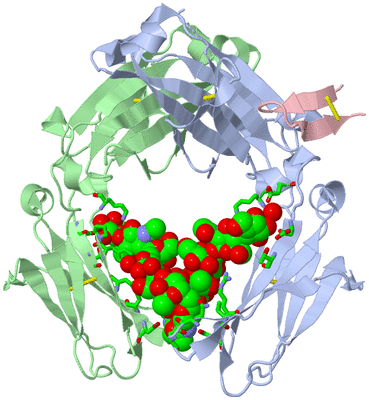 Image Asym./Biol. Unit - sites