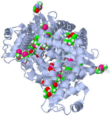 Image Biological Unit 1