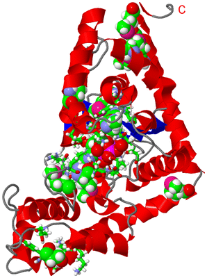 Image Asym. Unit - sites