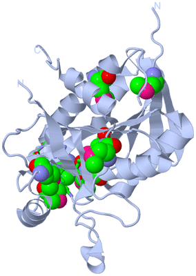 Image Biol. Unit 1 - sites