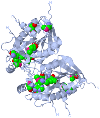 Image Biological Unit 2