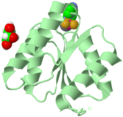 Image Biological Unit 2